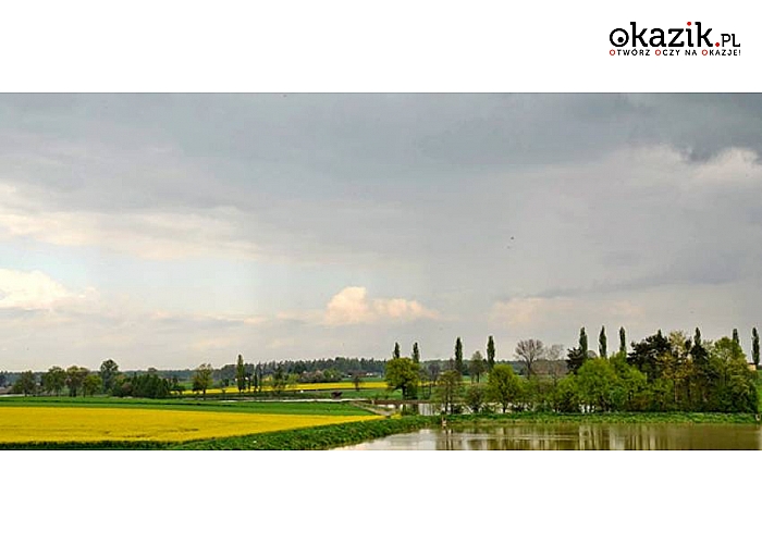 Śląsk Cieszyński! Wakacje! Okazja dla rodzin z dziećmi! Willa Słoneczna w Dębowcu zapewnia noclegi z wyżywieniem! Specjalne atrakcje dla najmłodszych! (163 zł)