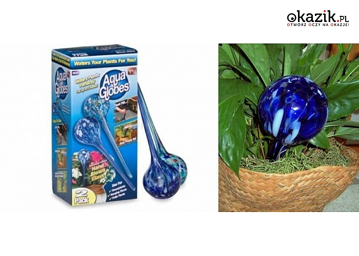 KULE NAWADNIAJĄCE KWIATY AQUA GLOBES – 2 szt! JUŻ NIE MUSISZ PROSIĆ SĄSIADÓW O PODLEWANIE TWOICH KWIATKÓW! (19,90 zł)