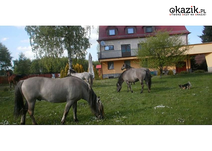 Chełmsko Śląskie w Sudetach! Rezydencja MDM Zadrna! Noclegi, śniadania, obiadokolacje, sauna, bilard, parking! Wszystko to za  62 zł/osobodoba! Specjalne pakiety dla rodzin z dziećmi!