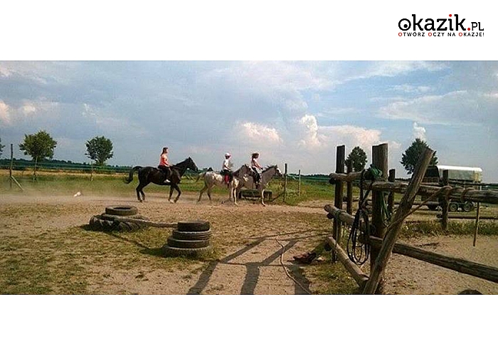 Mazowieckie! Dzierzby Włościańskie! Pensjonat Krzemień i Stajnia Skrawek Nieba zapraszają! Luksusowy, nowo otwarty obiekt! Sauna! Jazda konna! Zapraszamy! 