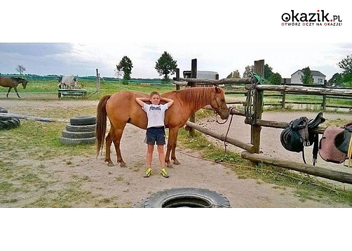 Mazowieckie! Dzierzby Włościańskie! Pensjonat Krzemień i Stajnia Skrawek Nieba zapraszają! Luksusowy, nowo otwarty obiekt! Sauna! Jazda konna! Zapraszamy! 