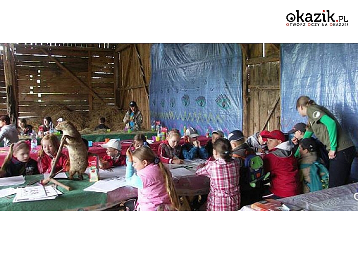 Mazowieckie! Dzierzby Włościańskie! Pensjonat Krzemień i Stajnia Skrawek Nieba zapraszają! Luksusowy, nowo otwarty obiekt! Sauna! Jazda konna! Zapraszamy! 