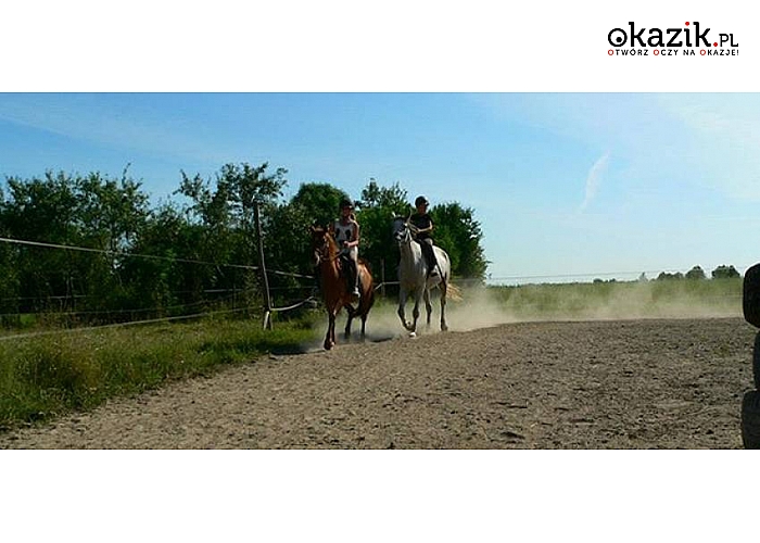 Mazowieckie! Dzierzby Włościańskie! Pensjonat Krzemień i Stajnia Skrawek Nieba zapraszają! Luksusowy, nowo otwarty obiekt! Sauna! Jazda konna! Zapraszamy! 