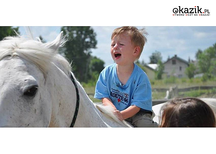 Mazowieckie! Dzierzby Włościańskie! Pensjonat Krzemień i Stajnia Skrawek Nieba zapraszają! Luksusowy, nowo otwarty obiekt! Sauna! Jazda konna! Zapraszamy! 