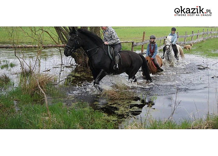 Mazowieckie! Dzierzby Włościańskie! Pensjonat Krzemień i Stajnia Skrawek Nieba zapraszają! Luksusowy, nowo otwarty obiekt! Sauna! Jazda konna! Zapraszamy! 