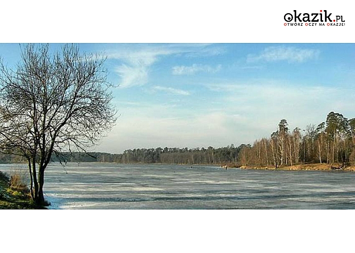 Mazowieckie! Nowa Wieś Serock! Holiday Home Magnolia! Pięknie położona wśród zieleni willa! Stylowe pokoje! 