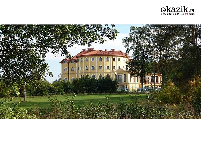 Lubelskie! Janów Lubelski! HOTEL KRÓLEWSKI! Noclegi! Wyżywienie! Bilard w Sali kominkowej!  Świetne położenie - przy trasie Lublin – Rzeszów! Doskonałe miejsce na specjalne Okazje: oświadczyny, rocznicę ślubu, piękny prezent! 