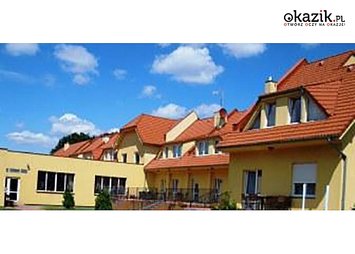 Hotel Tanzanit*** nad pięknym jeziorem! Zlokalizowany na granicy lubuskiego i wielkopolskiego! W pakiecie: noclegi, wyżywienie, sauna!! Okazja na całe lato!