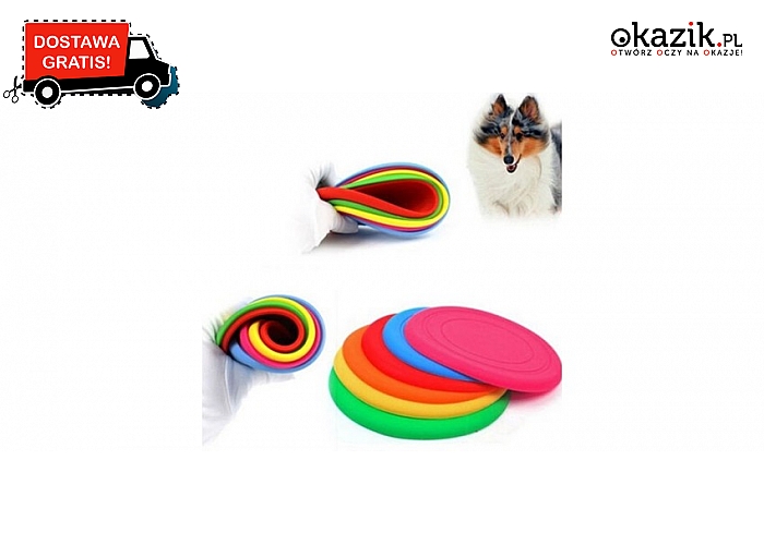 Frisbee to ulubiona zabawa wielu psów.