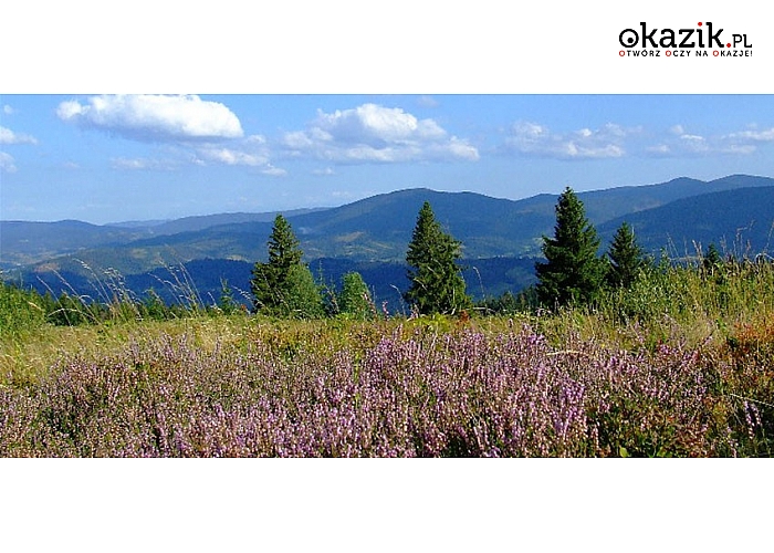 Relaks na łonie natury! Gościniec Halka w Zwardoniu w Beskidzie Żywieckim.  (434 zł)