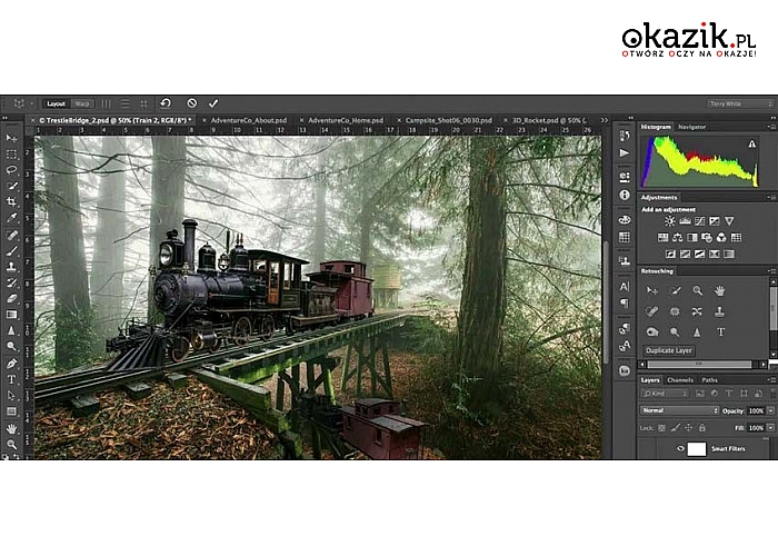 Kurs On-line Adobe Photoshop CC. Egzamin i Certyfikat on-line! (od 63 zł)