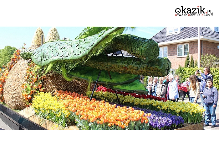 Parada Kwiatów w najpiękniejszym parku wiosennym na świecie – Keukenhof, wycieczka objazdowa do Holandii. (197 zł)