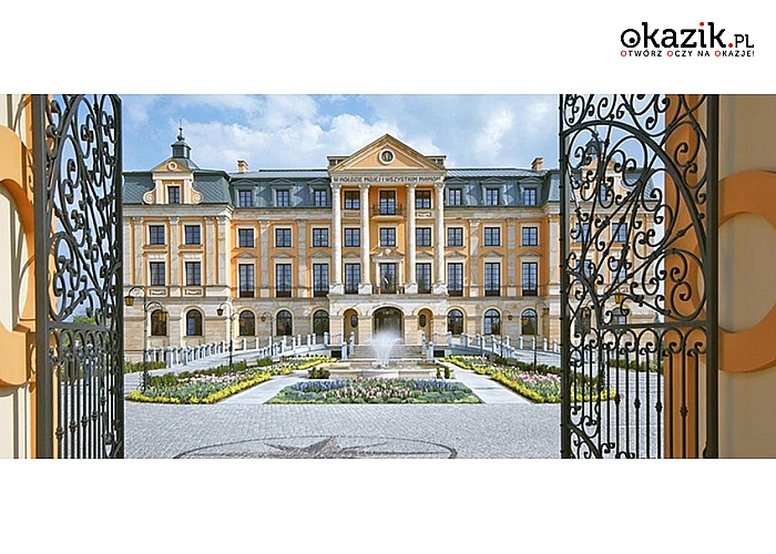 Pobyty weekendowe dla dwojga w pięknym Pałacu Bursztynowym***, Włocławek. (od 259 zł)