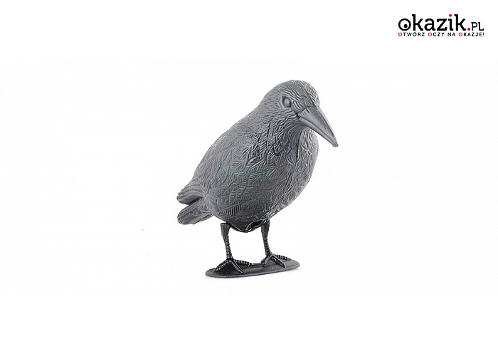 Bardzo realistyczna figurka kruka – działa jak skuteczny odstraszacz ptaków (15,90 zł)