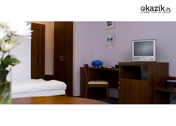 JELEŚNIA, Hotel*** Vesta. Pakiet STANDARD lub ROMANTYCZNY! SPA + masaż na fotelu masującym.