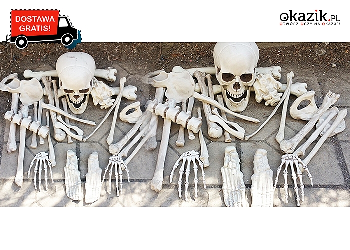 Kościotrup! Doskonałe rekwizyty na Halloween! Zestaw 28 części kości o naturalnej wielkości! (149zł)