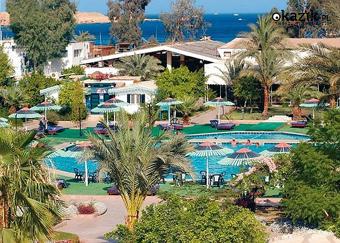 LAST MINUTE! Sharm El Sheikh! Słoneczny Egipt! Hotel Ghazala Beach! Śniadania i obiadokolacje! Dzieci All Inclusive!