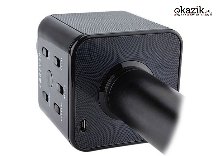 Głośnik Bluetooth z mikrofonem bezprzewodowy Forever BMS-200 Karaoke