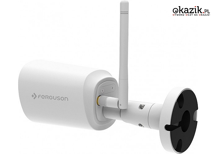 Ferguson: Smart EYE 300 IP Cam