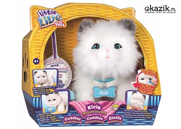 Moose: LITTLE LIVE PETS Kicia - Mój wymarzony kotek