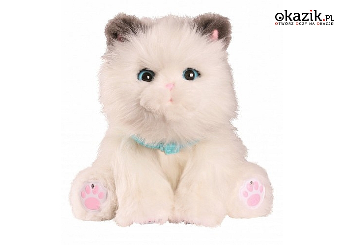 Moose: LITTLE LIVE PETS Kicia - Mój wymarzony kotek