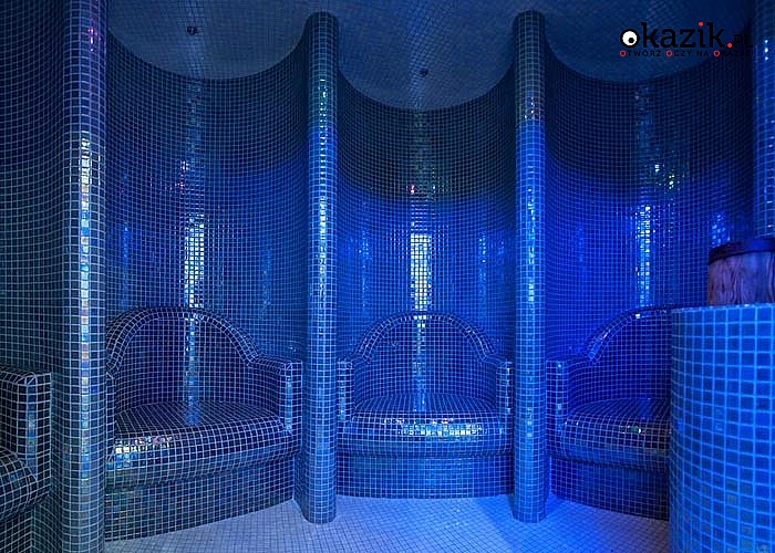 Wypoczynek w Ciechocinku! Med&Spa Teodorka! Pobyty z wyżywieniem! Przepiękna okolica!
