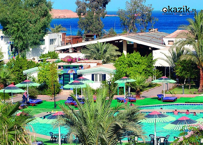 Sharm El Sheikh! Słoneczny Egipt! Hotel Ghazala Beach! Śniadania i obiadokolacje! Dzieci All Inclusive!