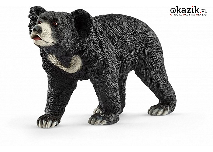 Schleich: Wargacz Leniwy