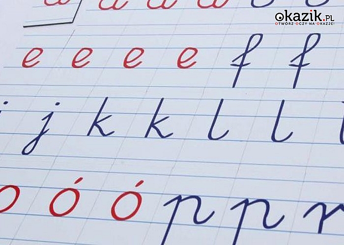 Alfabet magnetyczny MONTESSORI -literki pisane, Komplet pomocny w nauce pisania oraz czytania
