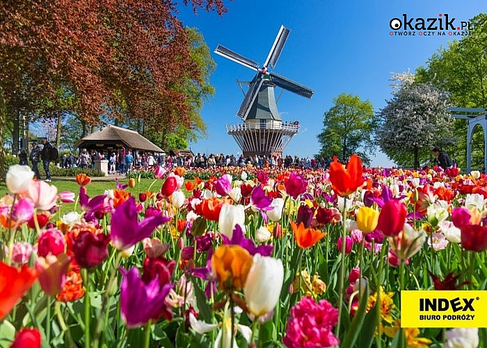 Wycieczka do Holandii na Paradę Kwiatową Express! Opieka pilota! Zwiedzanie wg programu!