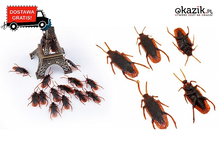 Zestaw zwierzątek na Halloween: 10 realistycznych karaluchów – zrobią wrażenie na każdym! Wysyłka GRATIS! (9,90 zł)