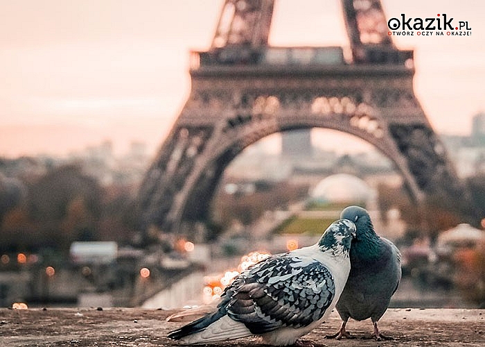 Spędź Walentynki ze swoją drugą połówką w Paryżu! Razem zwiedzicie Światową Stolicę Miłości!