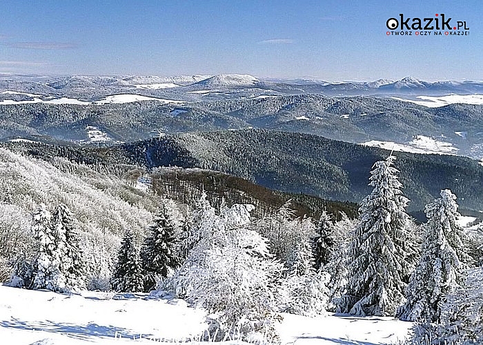 Free SKI to idealne rozwiązanie na zimowy wypoczynek w górach!