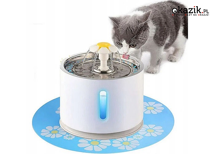 Automatyczna fontanna dla kota zapewni odpowiednią ilość wody Twojemu pupilowi