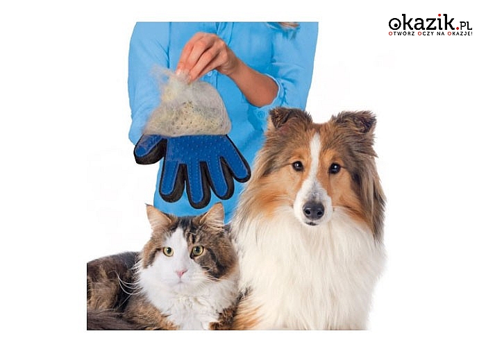 Szczotka w formie rękawicy do czesania psa lub kota.