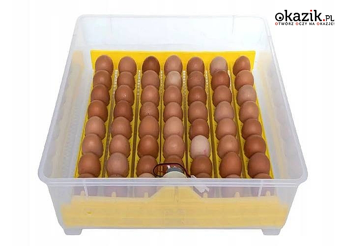 Inkubator klujnik wylęgarka do jaj, wylęgu drobiu 56 jajek kurzych + gratisy