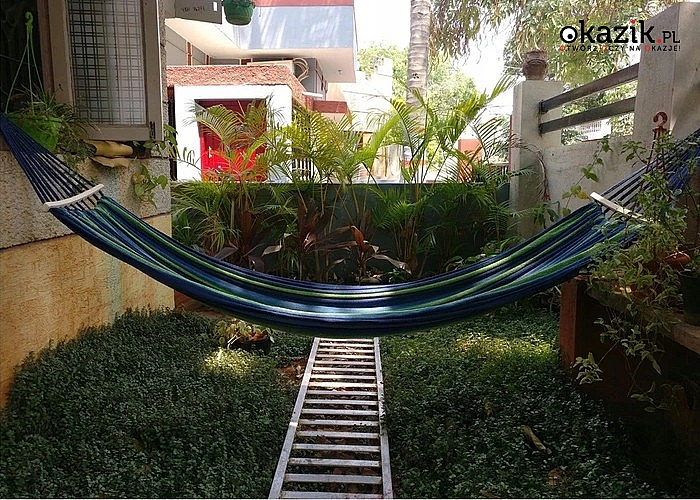 Błogie lenistwo i komfortowy relaks w ogrodzie, a to wszystko dzięki modnemu hamakowi