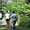 Ustka! Ośrodek wypoczynkowo-rehabilitacyjny PRZYLESIE! W cenie: codzienne wyżywienie, masaże, dostęp do rowerów, kijków nordic walking, książek i gazet, bilarda i tenisa stołowego!