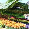 Parada Kwiatów w najpiękniejszym parku wiosennym na świecie – Keukenhof, wycieczka objazdowa do Holandii. (197 zł)