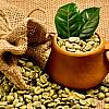 Zdrowa, zielona kawa brazylijska Santos – nie palona, ziarnista lub mielona – wspomaga odchudzanie. (od 8,80 zł)