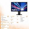 NEC: Monitor 24 MS EA244WMi bk IPS, W-LED, DVI, czarny